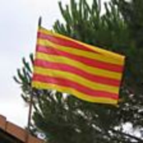 oliveraso