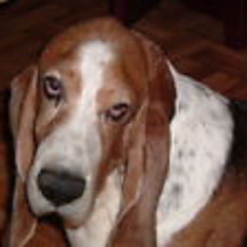 oscar51