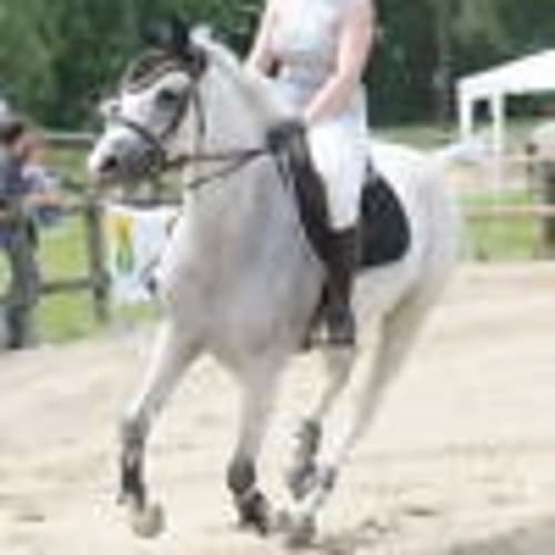 meloche02