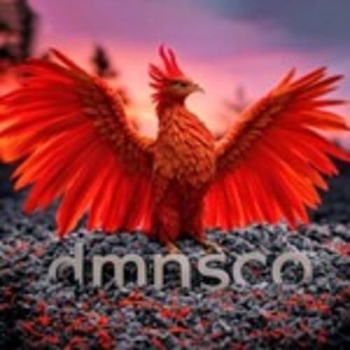 dmnsco