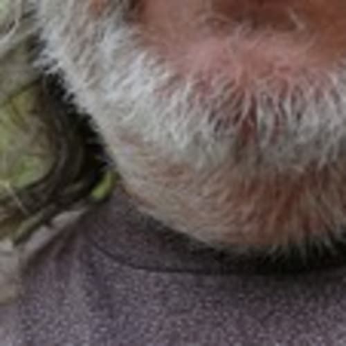 capitainepicard