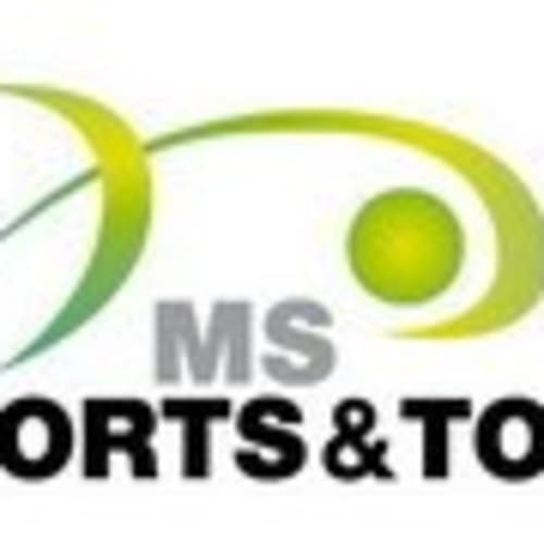 mssportsandtoys