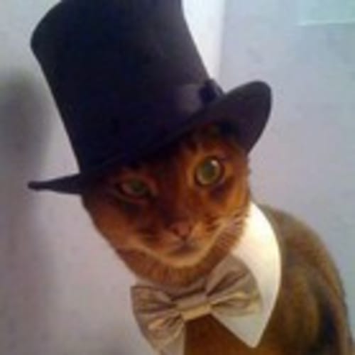 agentcat11