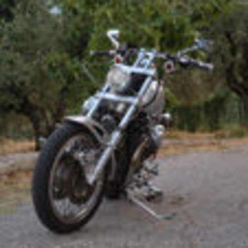 indian499