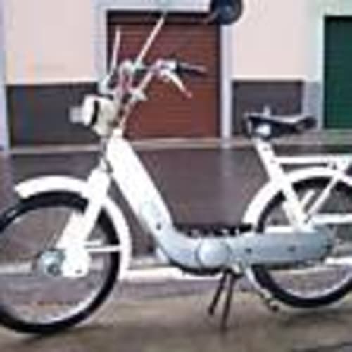 barbadifuoco66