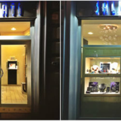 salvati_joystore