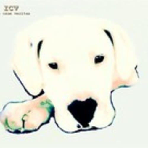 dog_performance