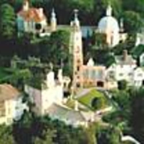 lambsy_uk