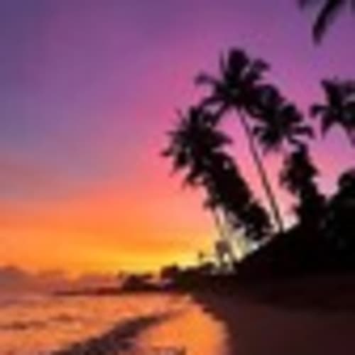 paradise2113