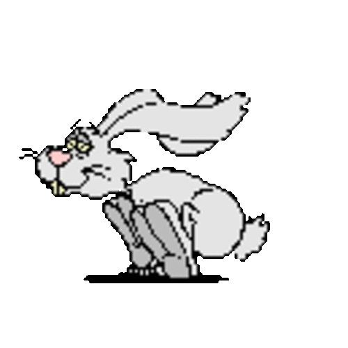 the-nippy-rabbit