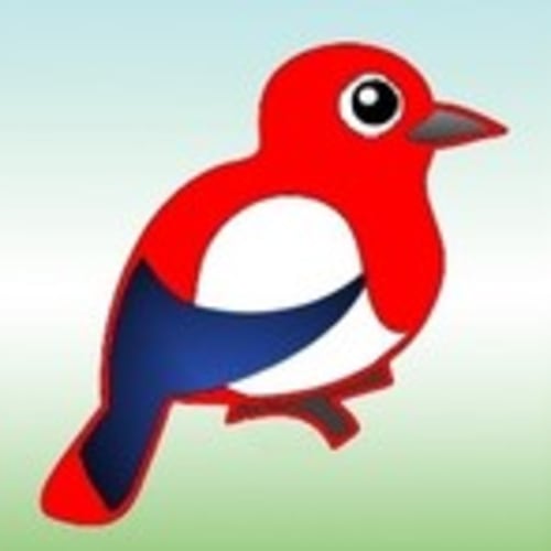 red_magpie