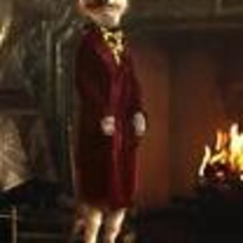aardvarkassista