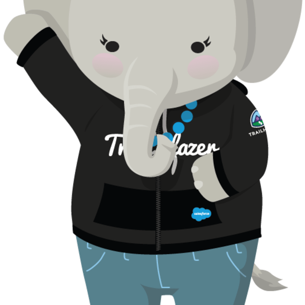 Salesforce Ruth Trailblazer Community Salesforce Architect Group, Oslo, Norway