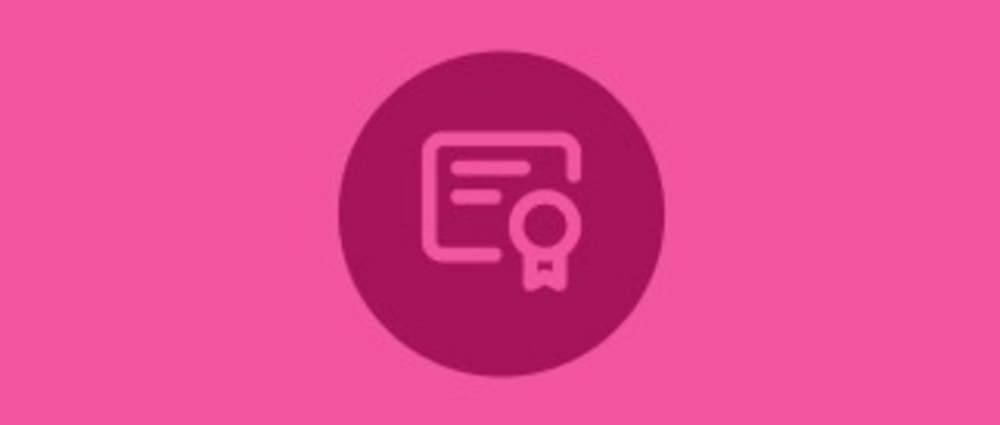 Service (Shipping & Review)