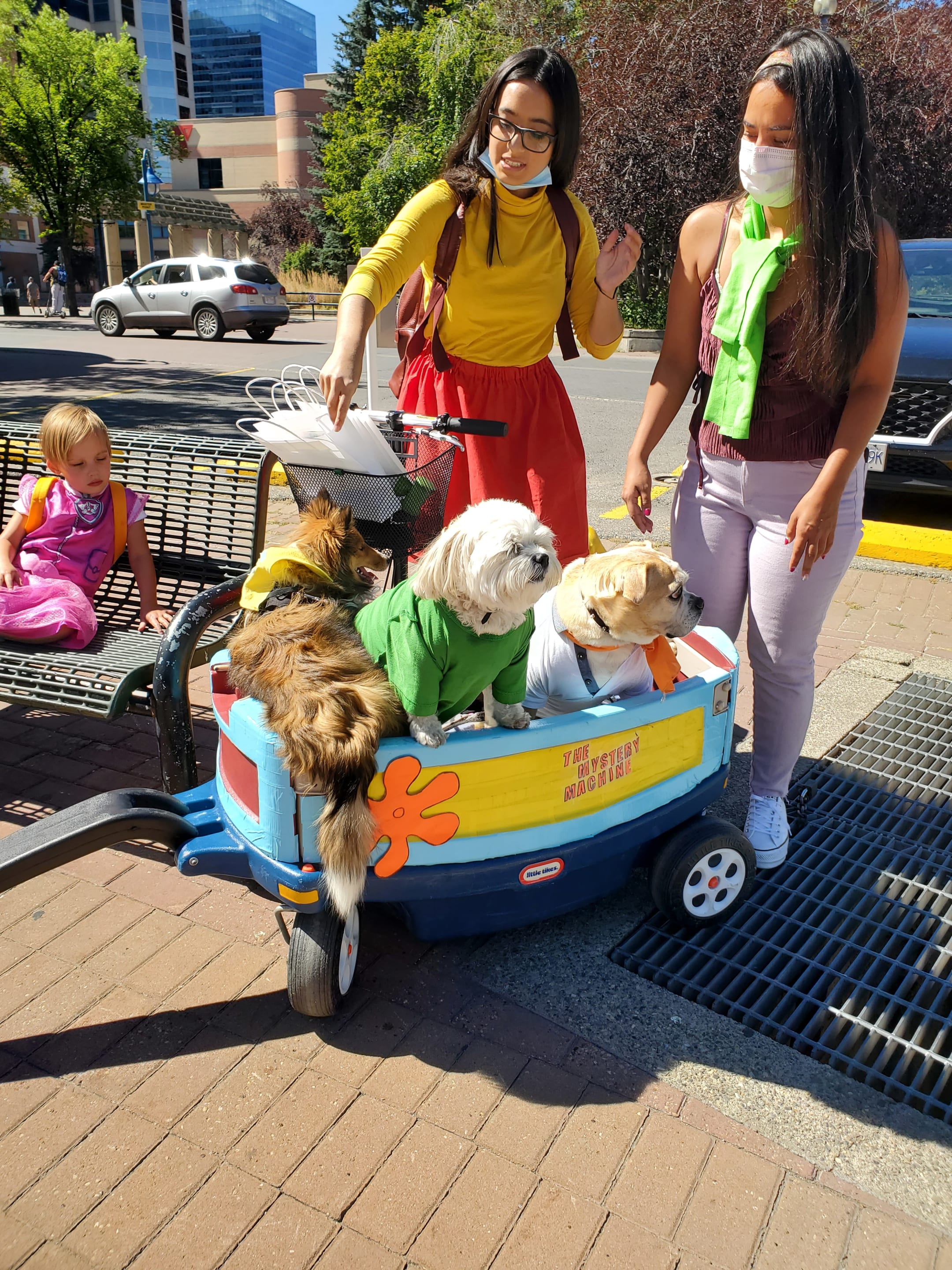 See Paws Play Pet Parade At Fan Meetups Calgary