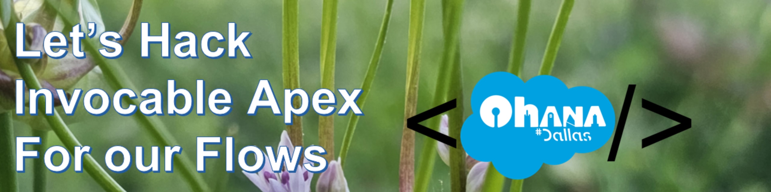 See DFW SF Devs: Let's learn INVOCABLE APEX and use code in our No-Code ...