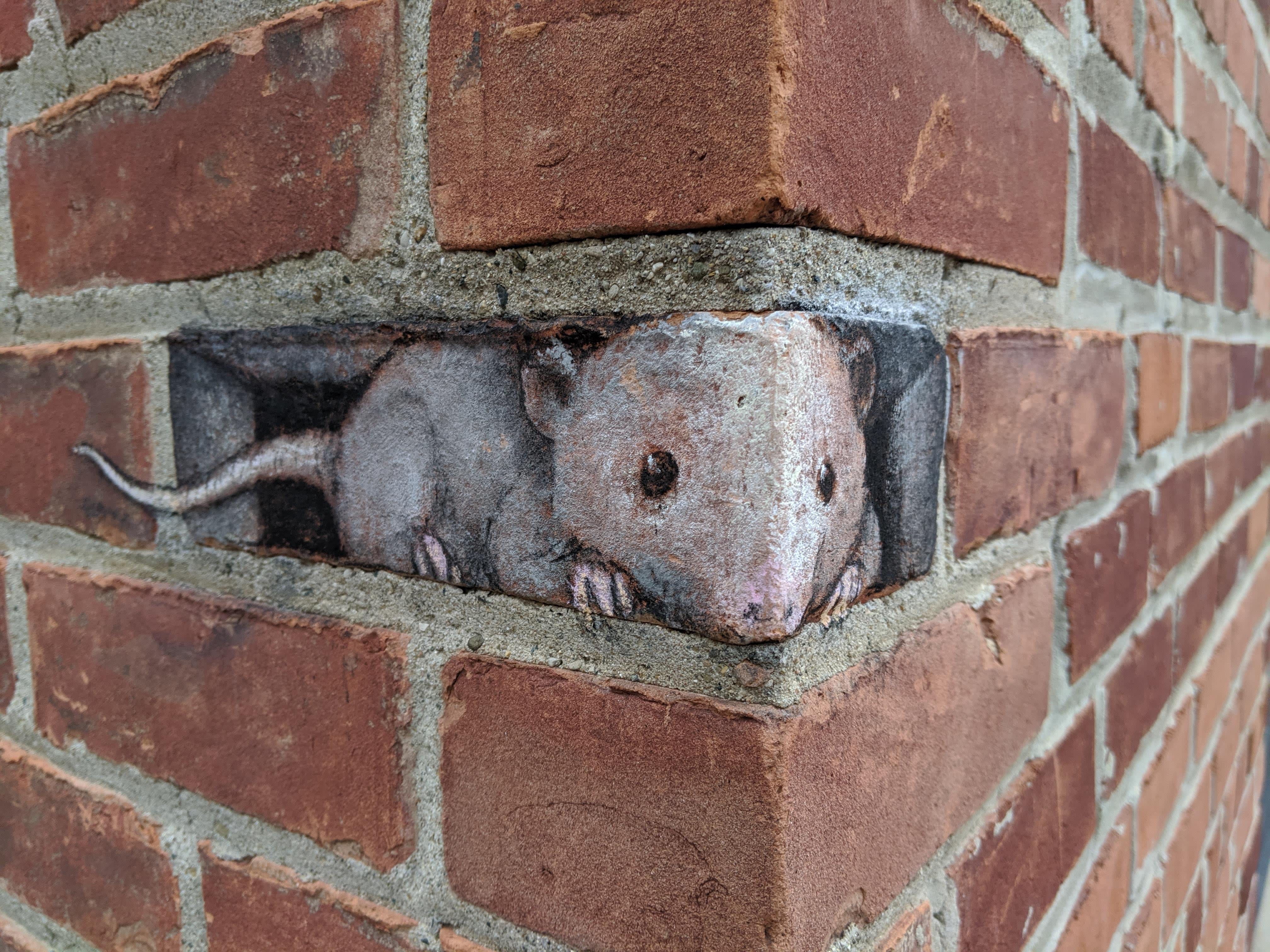 Mouse in the corner wall art