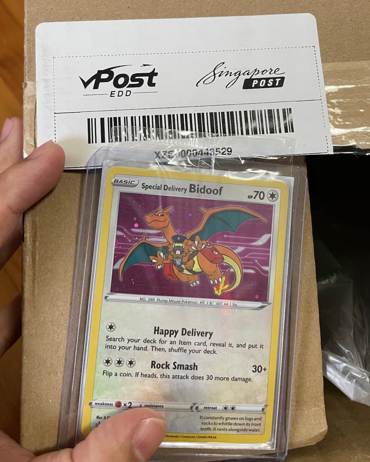 My special delivery from vpost comes with a special delivery bidoof from  Pokemon center USA.