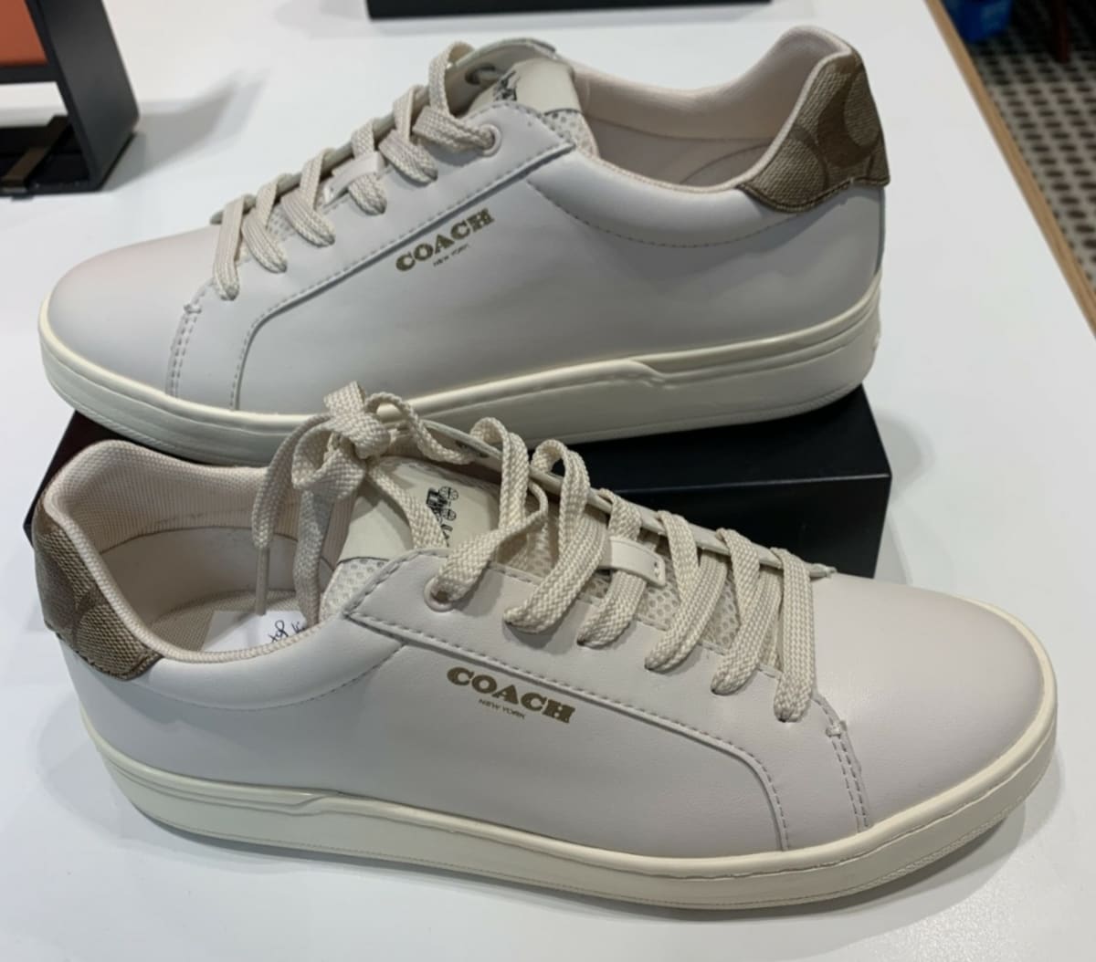 Clip Low Top Sneaker