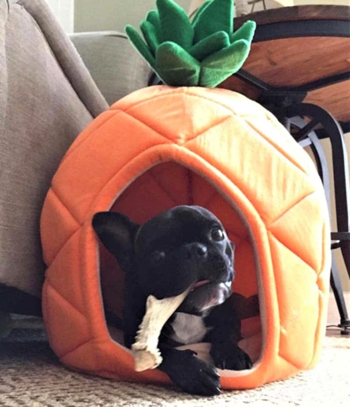 PIneapple Dog House