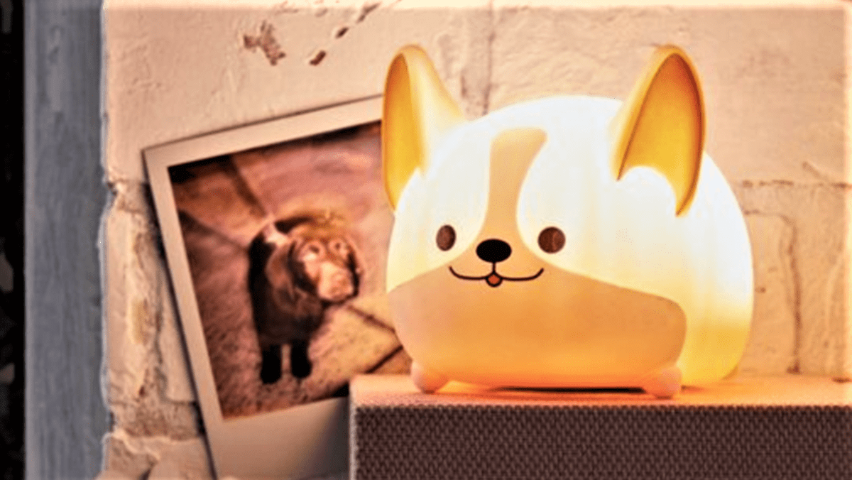 corgi light