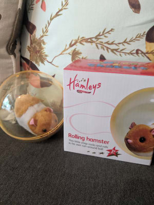 mechanical hamster toy