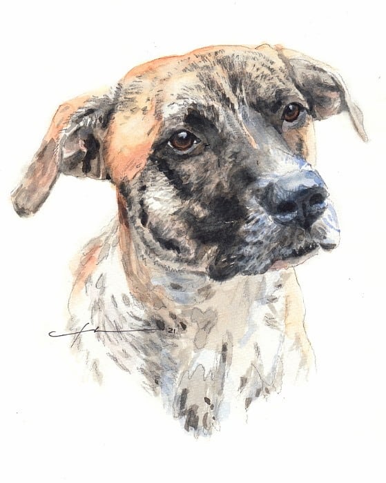 Mike Theuer - Watercolor & Pencil Portraits from Your Photo
