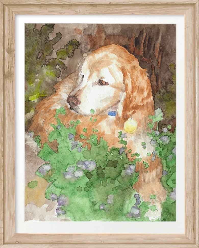 setter dog in garden watercolor by portrait artist Mike Theuer