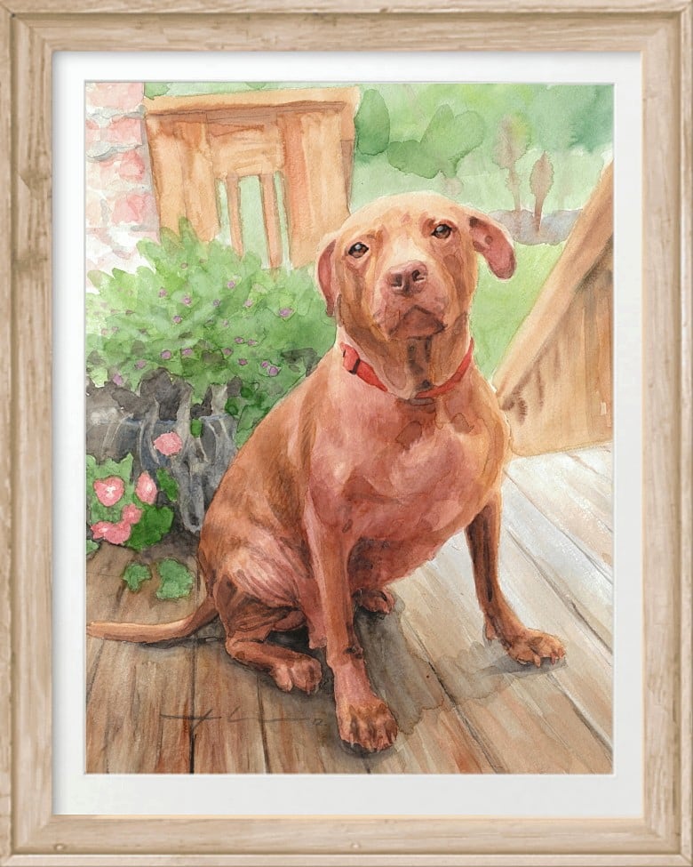 sweet dog watercolor portrait by portrait artist Mike Theuer