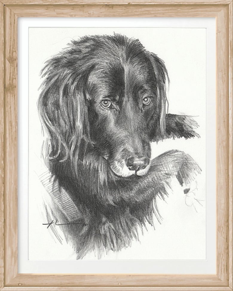 setter pencil portrait by portrait artist Mike Theuer