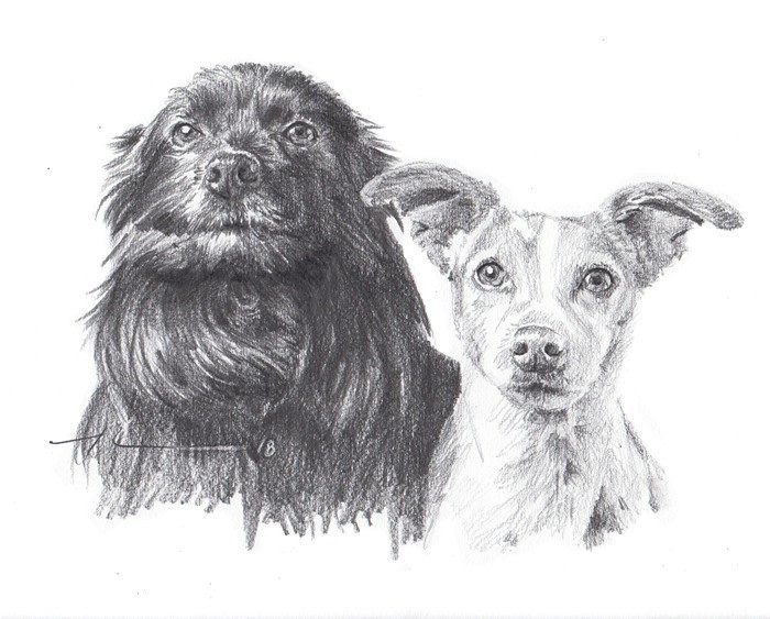 black and light dog family pencil portrait from a photo by portrait artist Mike Theuer