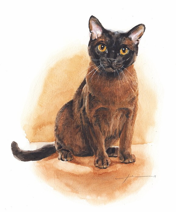 brown burmese cat watercolor portrait from a photo by portrait artist Mike Theuer