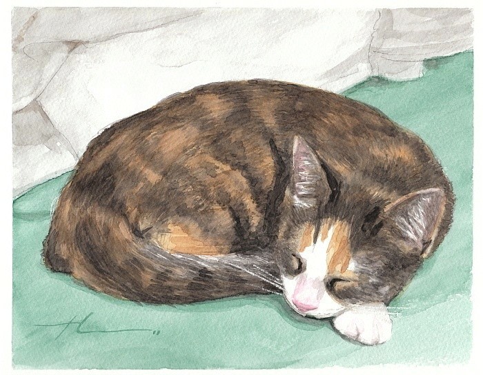 calico kitten watercolor by Mike Theuer