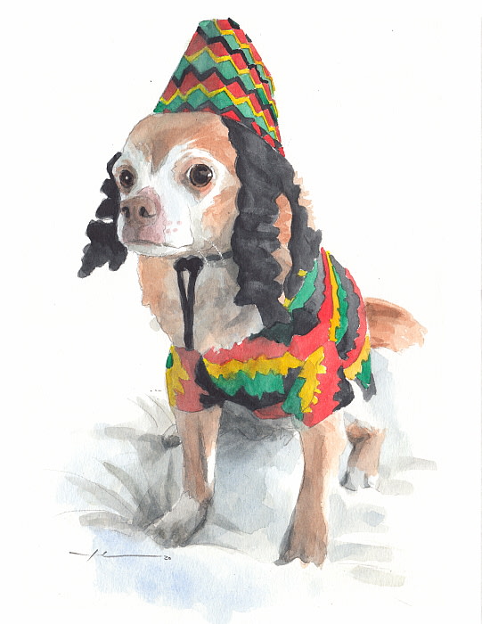chihuahua in rasta costume watercolor portrait from a photo by portrait artist Mike Theuer