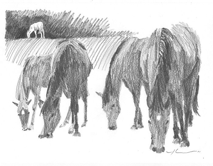 childrens book drawing from a photo by portrait artist Mike Theuer