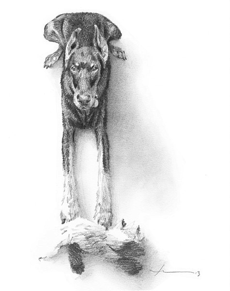 doberman puppy pencil portrait from a photo by portrait artist Mike Theuer