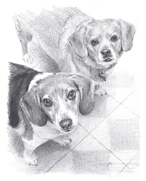 dog siblings pencil portrait from a photo by portrait artist Mike Theuer