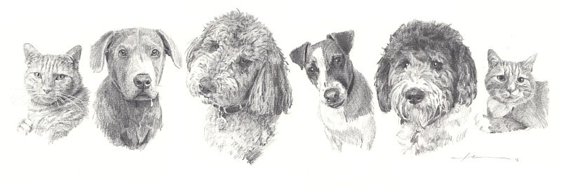 pet_family_pencil_portrait_mike_theuer