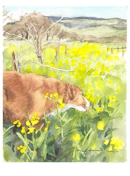 retreiver_in_yellow_flowers_vineyard_watercolor_portrait_mike_theuer