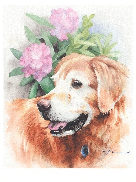old retriever watercolor portrait from a photo by portrait artist Mike Theuer