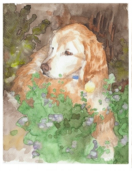 setter dog in garden watercolor portrait from a photo by portrait artist Mike Theuer
