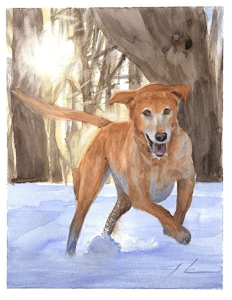 lab in snow watercolor painting from a photo by portrait artist Mike Theuer