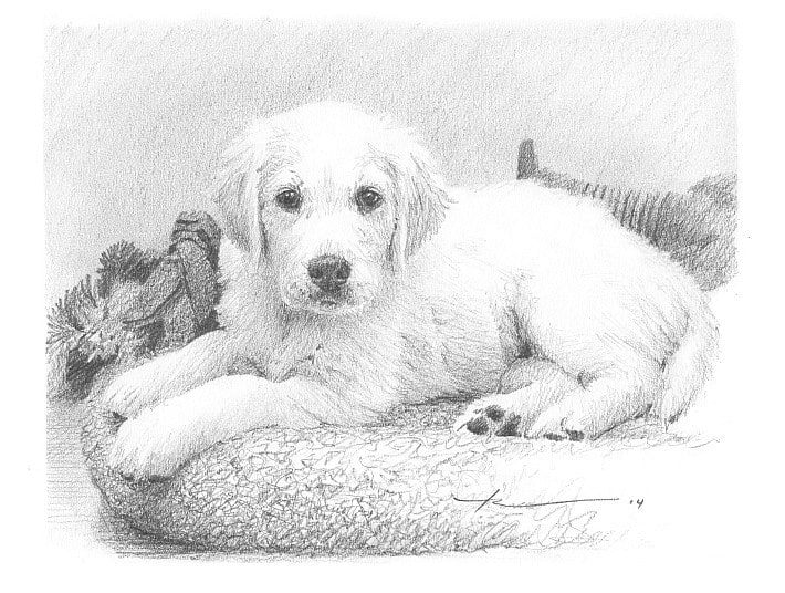 white puppy pencil portrait from a photo by portrait artist Mike Theuer