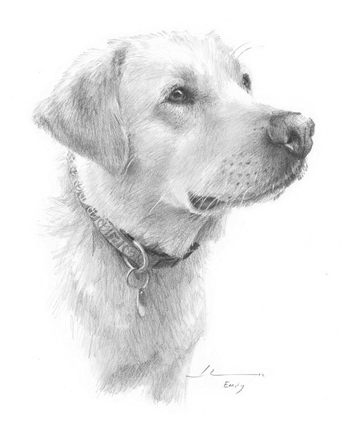 Mike Theuer - Pencil Portraits Gallery | Pencil Drawings Mike Theuer - Pencil Portraits Gallery | Pencil Drawings