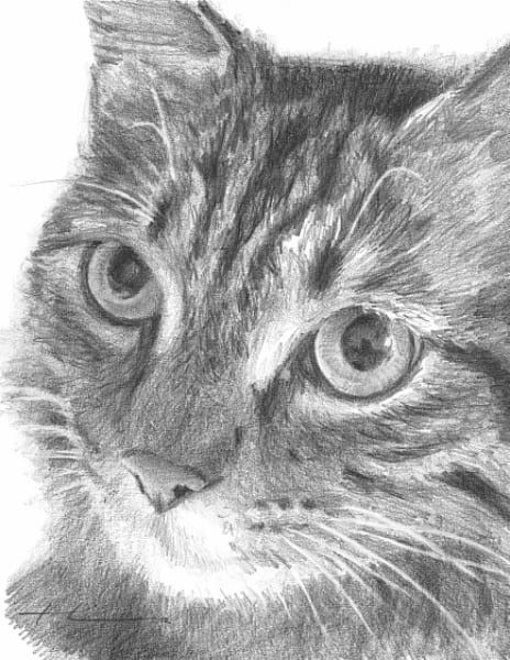 Drawing Light Movement  Pencil Drawing Tutorial: Mike Theuer