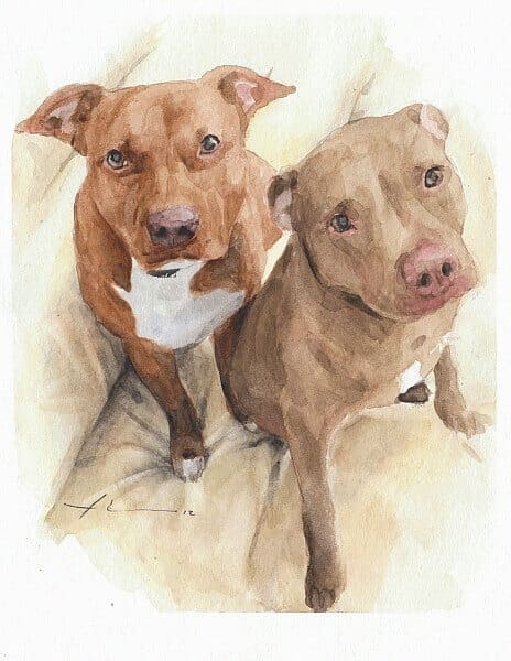 how I critique my watercolor portraits