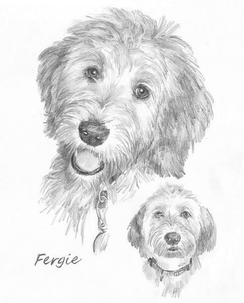 big puppy drawing from a photo by portrait artist Mike Theuer