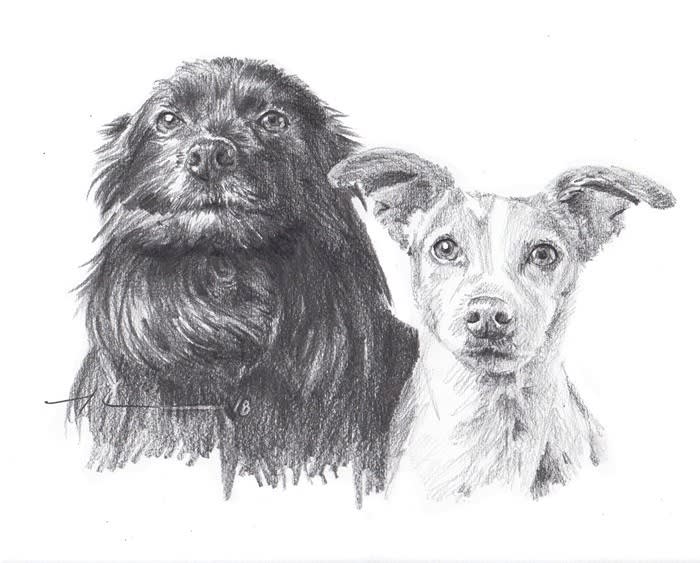 black and light dog family pencil portrait from a photo by portrait artist Mike Theuer