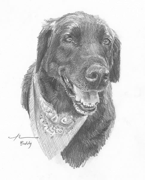 black lab dog portrait by portrait artist Mike Theuer