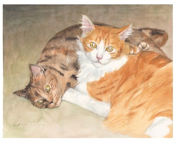 playful_cats_watercolor_portrait_mike_theuer